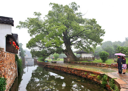 聚焦苏州太湖西山岛 生态苏州魅力尽显(图)_城市联播_活动快讯_新浪城市_新浪网