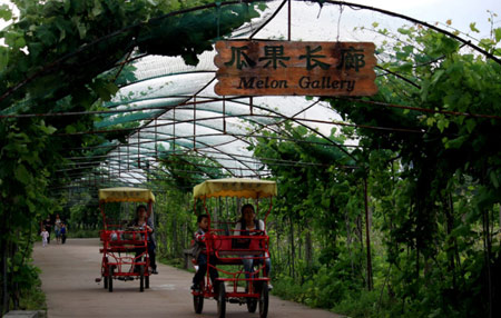 聚焦苏州太湖西山岛 生态苏州魅力尽显(图)