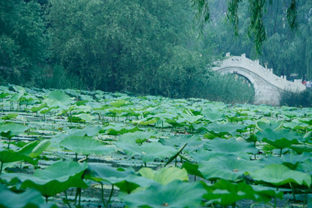 寻找绿色发现未来 中关村科教旅游节体验游