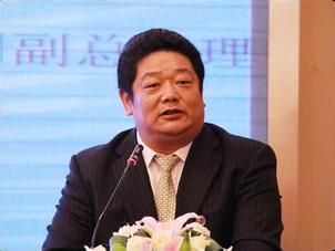 中国出口信用保险公司副总经理戴春宁接受调查