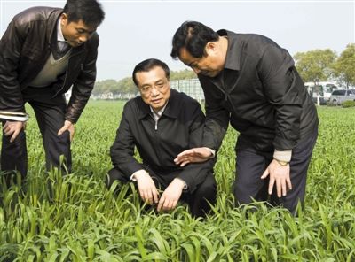 3月28日，李克强在江苏省常熟市田娘家庭农场察看麦苗长势。新华社记者 李学仁 摄