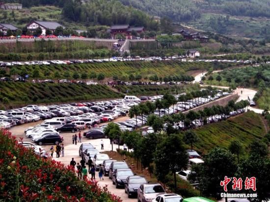 收入证明_公园门票收入(2)