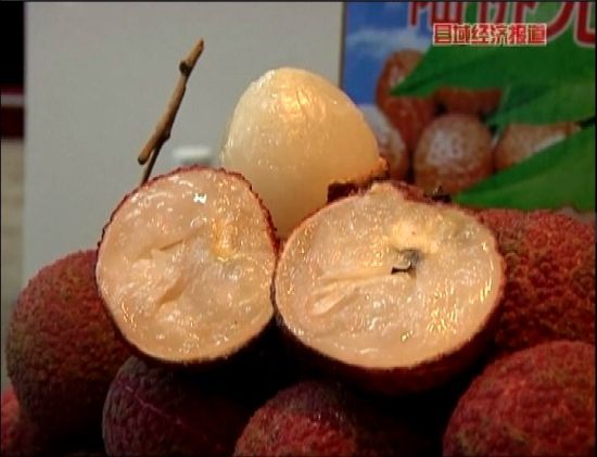 海南澄迈:500元一斤的无核荔枝