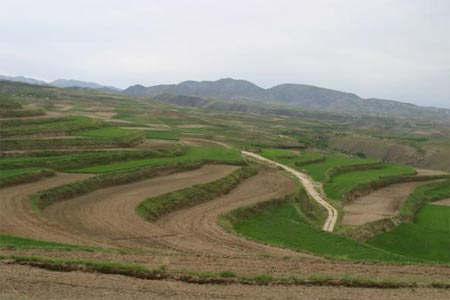 希望旅游模式探索(刘彦峰)