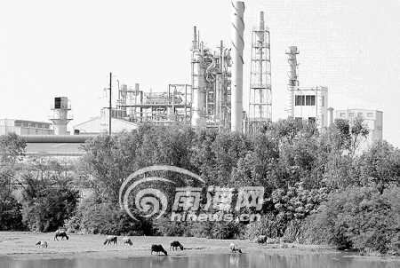 海南四项优势参与泛北部湾合作_城市经济