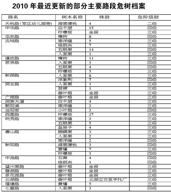 南宁一些绿化树没想象中“坚强”解密绿城危树档案