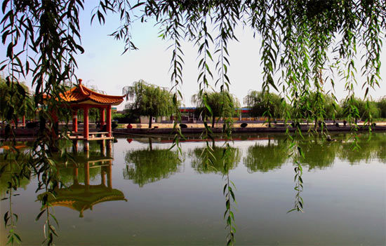 最佳接待单位候选:北京海北绿园休闲度假村