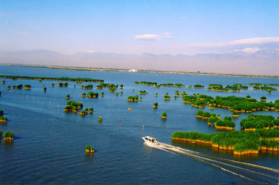 美丽的沙湖 宁夏沙湖:藏在丝绸之路上最后的宝藏(组图)