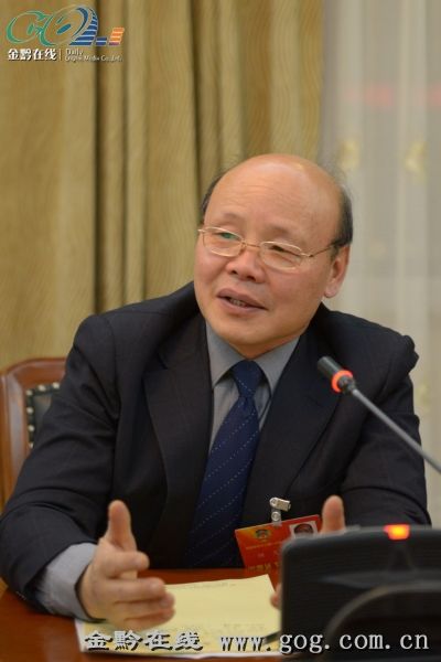 顾久委员 贵州代表委员们畅谈文化贵州