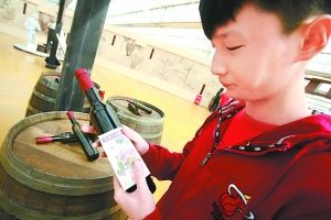 自制红酒吸引了众多游客 15万人清明赶集农业嘉年华 “昌平礼物”受热捧
