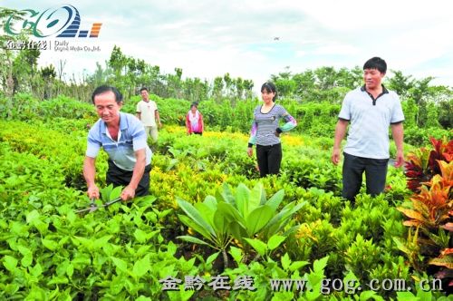 从贵州盘县旧营乡走出来的300户花农,在海南岛上开垦出属于他们的一块乐土。大家仍旧生活在一起,操着相同的口音,经营同样的事业。花农们自发组成协会,守望相助。多年发展,贵州花农成为海南花卉产业中的一支主力军 近看泛珠——走进“9+2”