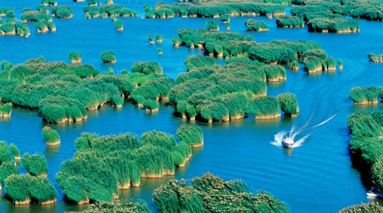 宁夏沙湖获称中国十大魅力湿地
