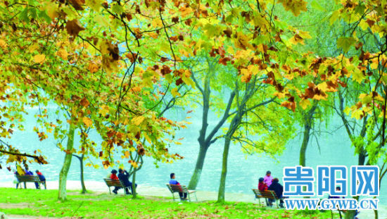 市民在黔灵湖畔坐享蓝天碧水。 贵阳市全力推动生态文明建设 共享碧水蓝天绿地