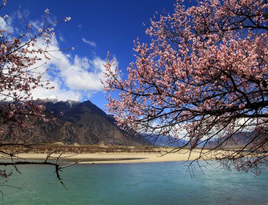 林芝 “传统旅游”走向“生态旅游” 林芝 “传统旅游”走向“生态旅游”