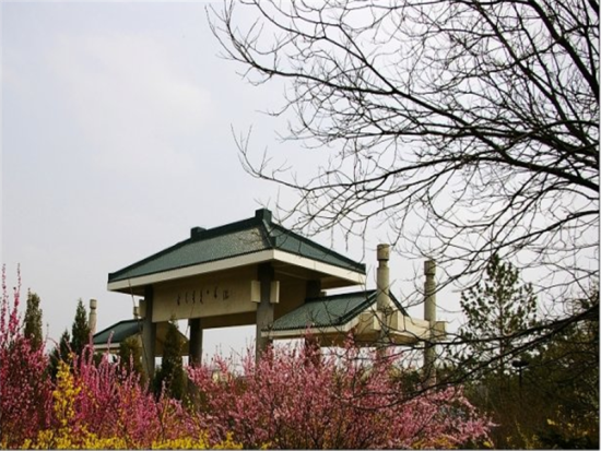 呼和浩特植物园 呼和浩特植物园简介