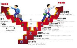 海立"y"型职业发展路径图