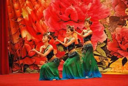 北大学生艺术团访埃 尼罗河畔演绎中国风情(图