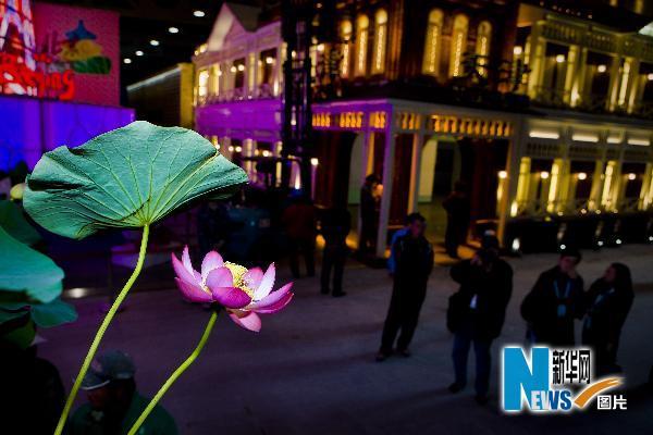 �ɻ������й���