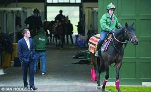 ����ү���ӡ�Ѱ�����֡�