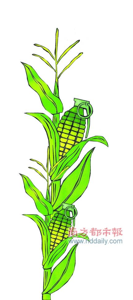 ��ʢ��ʯ��û����ע��������ӿ���׽ӹ�������Ǽ۰�