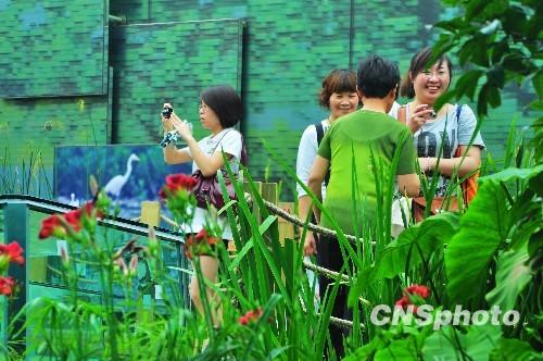 �Ϻ��������ۼƲι�����ͻ��1600����