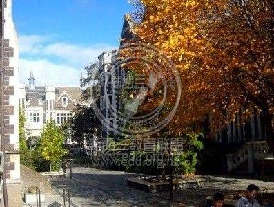 ר�ҽ�����������������ѧ��У��ɫȫ����