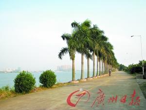 �����������������Ȥ