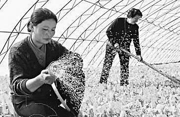 ���򻯽Ų�Ե���ߵ�������