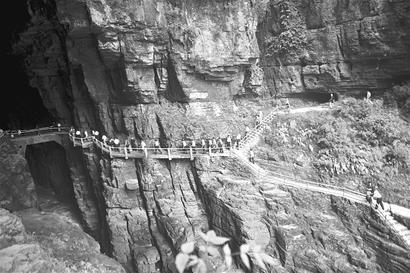 ͼ�ģ�˰�ղ����������β�ҵ