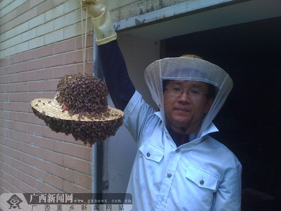 大学生辞经理当蜂农 蜜蜂哥创业首月利润即过