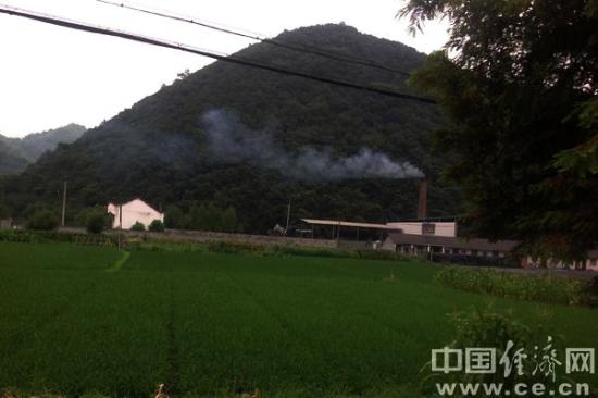 杭州后花园临安再遭污染 毛竹加工造纸厂烟尘