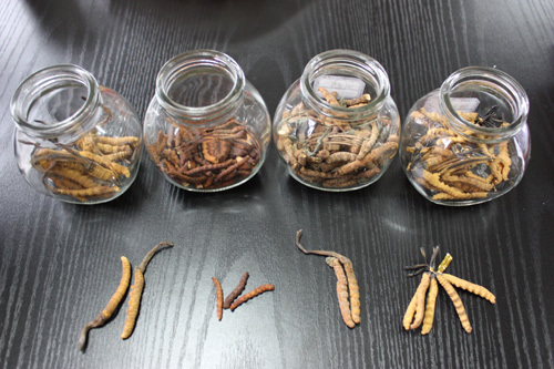 直面监管困扰 重心或将前移至原料监控_国内财经