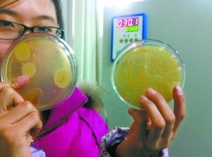 实验证明洗衣机外筒最脏 冰箱里细菌种类最多