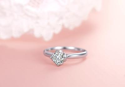 钻石小鸟[守护]套装 闪耀浓情圣诞_美通社资讯_新浪财经_新浪网