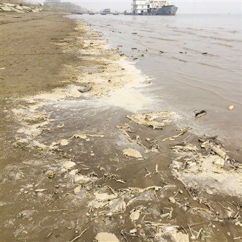 东湖名声远不及西湖武汉湖泊开发亟待走出怪圈