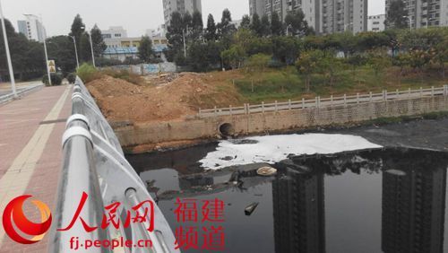 厦门第七批保障性商品房惊现“史上最臭海景房”，轮候购房者望房却步。图为滨海公寓紧邻的工业园区将污水直接排入埭头溪，产生大量白色泡沫，溪水乌黑，并发出阵阵恶臭。詹托荣摄