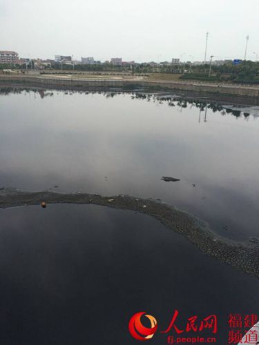 厦门第七批保障性商品房惊现“史上最臭海景房”，轮候购房者望房却步。图为滨海公寓紧邻的埭头溪乌黑的溪水，并发出阵阵恶臭。詹托荣摄