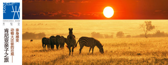 亲身感受动物大迁徙的壮观--肯尼亚亲子之旅