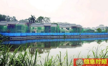 广东华南植物园现违建别墅群 3次整改依然在建