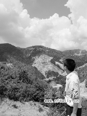 广东林地江西发证 跨越省界林权归属亟待解决