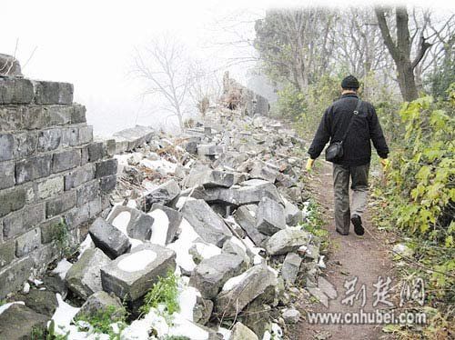 荆州古城墙损坏严重 专家称树根是城墙天敌(图)