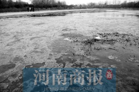 郑州西流湖污染严重 污水值最高超标110倍(图)