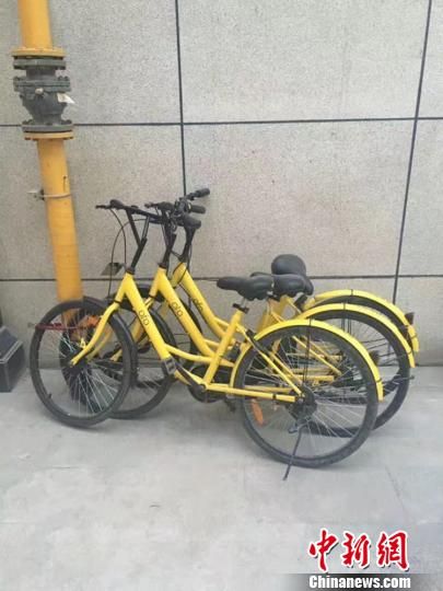 共享单车方便民众的同时,也存在和无序停放、损坏乱扔等现象。图为多辆共享单车被人恶意私自上锁。 兰州将划共享单车停车区和禁停区 暂不投放新车