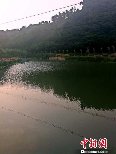 图为臧建军负责的鲁家溪河段 浙江安吉首推“两长制”显成效 青山“安好”绿水“无恙”
