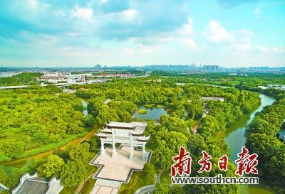 海珠湿地公园是全国特大城市中心城区面积最大的湿地公园。南方日报记者 符超军 摄 期待!2020年广州出门几百米就有公园