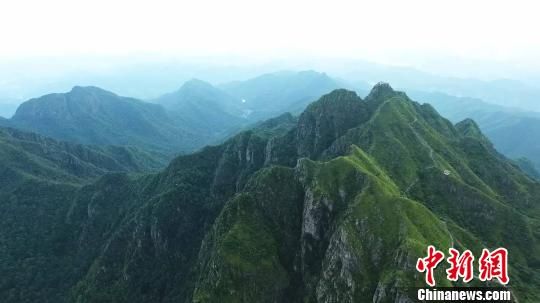 广东阴那山森林公园位于梅州市大埔县境内 程景伟 摄 广东的国家级森林公园增加到26个