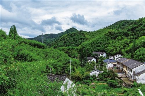 民宿 民宿生意经:浙江乡村旅游如何做到“越贵越火”?