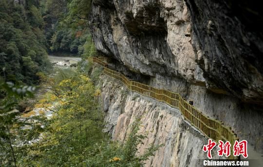 图为米仓山古栈道。 刘忠俊 摄 探访米仓山古栈道 寻古蜀遗风