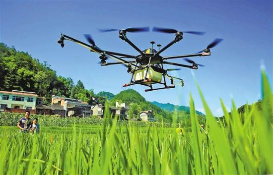 重庆:构建现代农业产业体系 推动农业提质增效