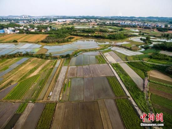 资料图:广西柳州市一处耕地。 黄威铭 摄 中国落地最严耕地保护制度 省长为第一责任人